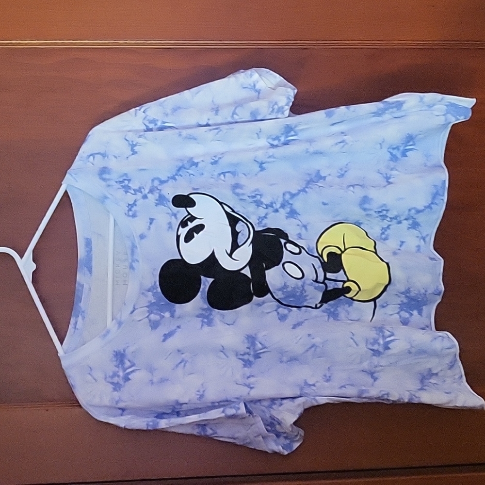 Disney Shirt 3X